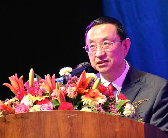 Image: Luo Shugang China's Minister for Culture