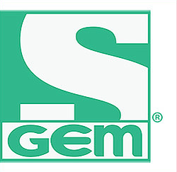 Logo for Asian TV channel GEM